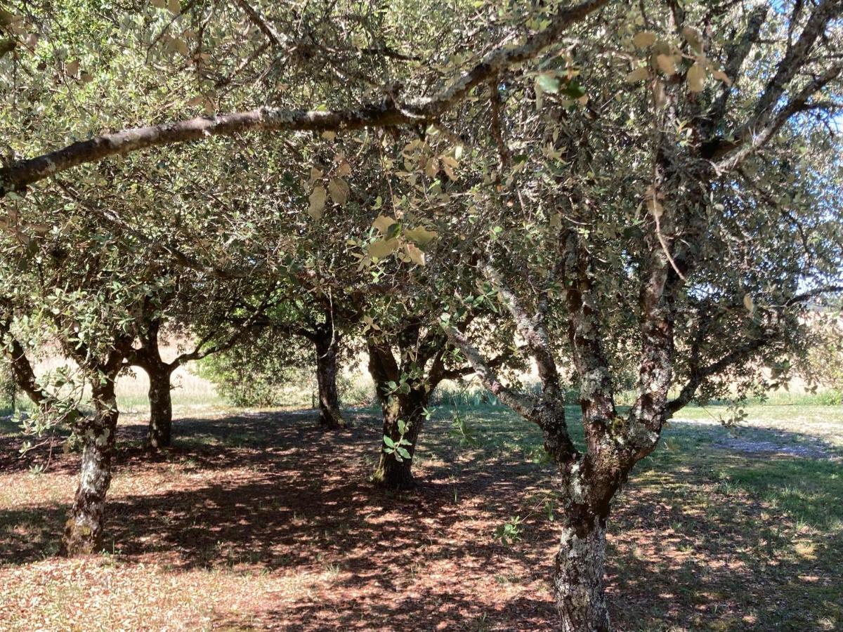 Le Murmure Des Fees Issigeac Bagian luar foto