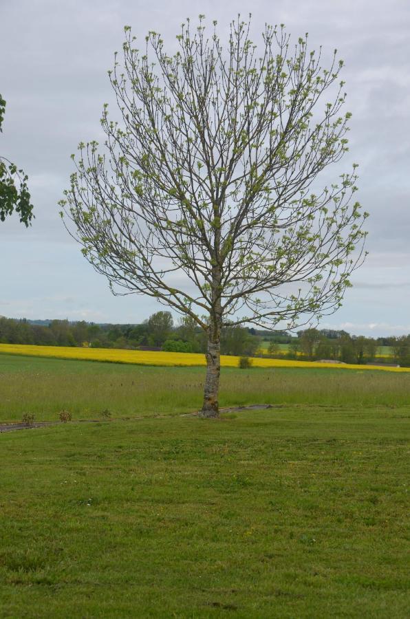Le Murmure Des Fees Issigeac Bagian luar foto